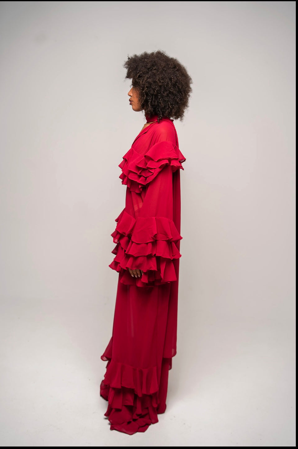 THE CONFIDENT Burgundy Dress
